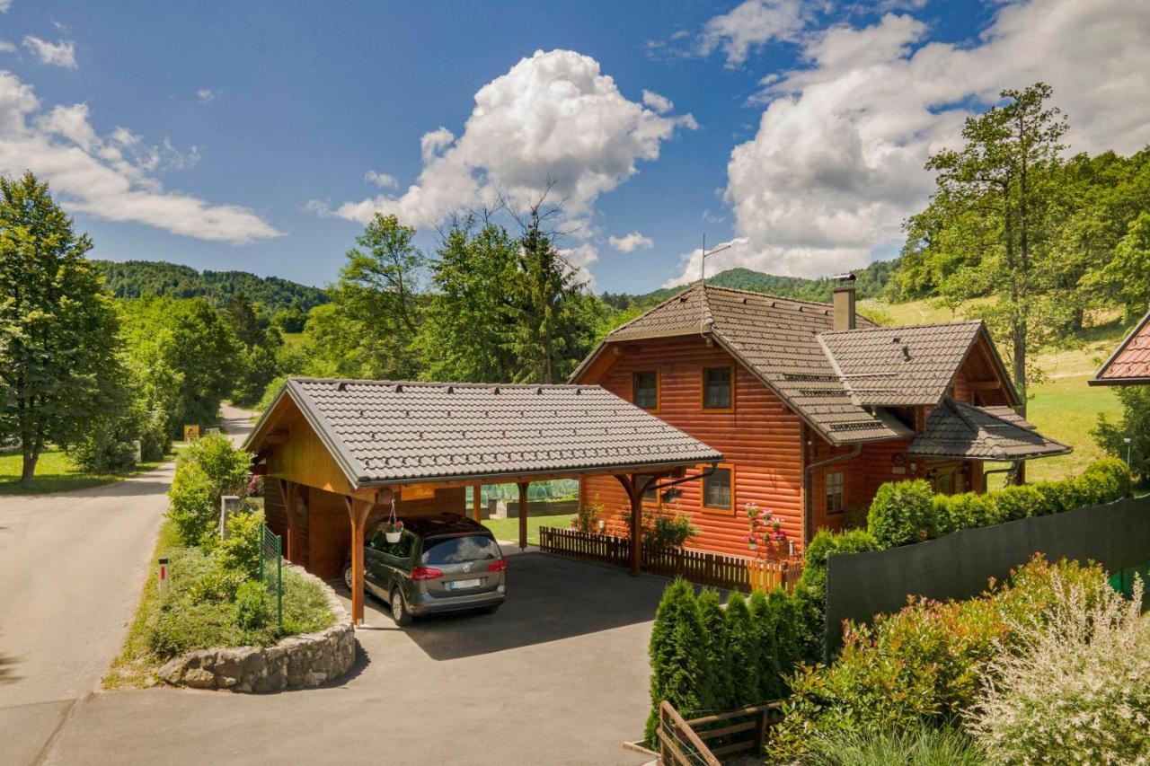 Apartma Metka Medvode Exterior photo